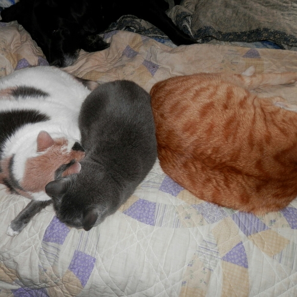 Welcome to my closet! - Picture 3 of 4